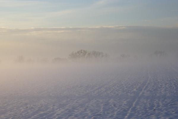fog