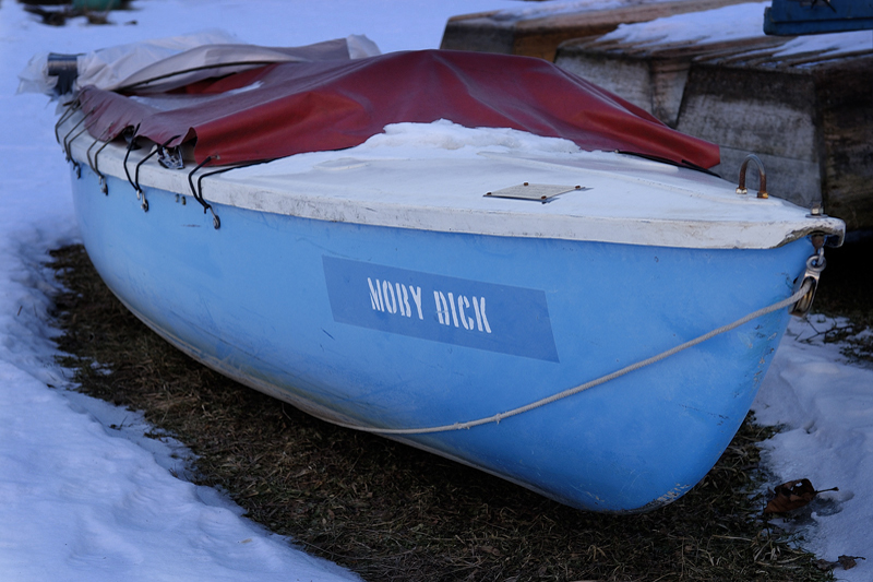 moby dick